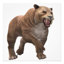 Tigre à dents de sabre