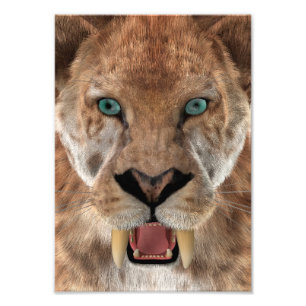 Impression Photo Tigre à dents de sabre ou Smilodon
