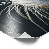 Impression Photo Tigre blanc (Coin)