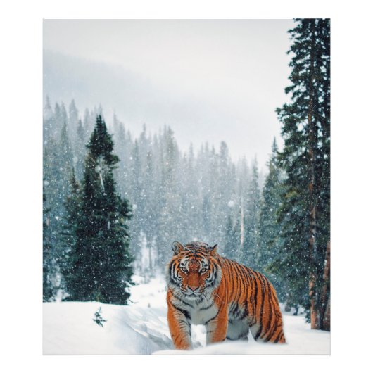 Impression Photo tigre dans la neige (Devant)