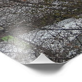 Impression Photo Today in New York City Central Park (Coin)