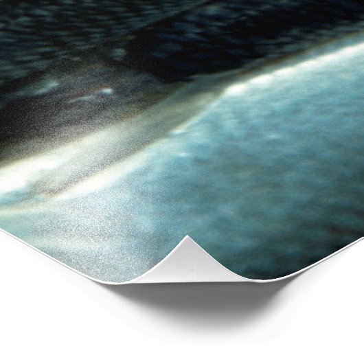 Impression Photo Toile de poisson (Coin)