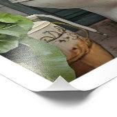 Impression Photo Toilette en chat Tabby (Coin)