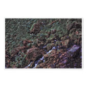 Impression Photo ToneTerre (Devant)