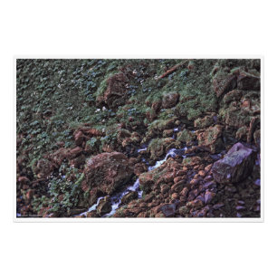 Impression Photo ToneTerre