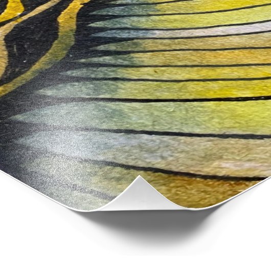 Impression Photo Topographie (Coin)