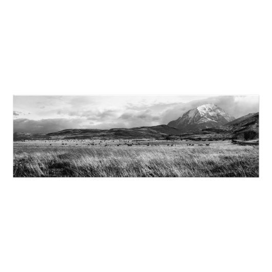 Impression Photo Torres del Paine (Devant)