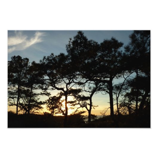 Impression Photo Torrey Pine Sunset II Californie Paysage (Devant)