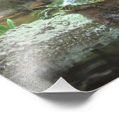 Impression Photo Tortue (Coin)