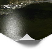 Impression Photo Tortue de natation (Coin)