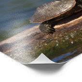 Impression Photo Tortue peinte sur un bûcher (Coin)