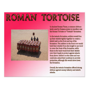 Impression Photo Tortue romaine