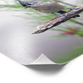 Impression Photo Touffé (Coin)