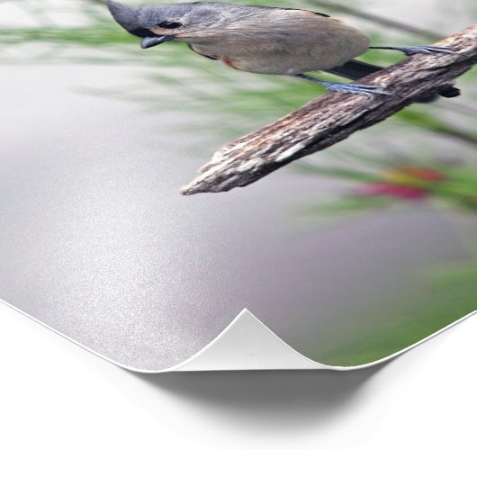 Impression Photo Touffé (Coin)