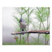 Impression Photo Touffé (Devant)