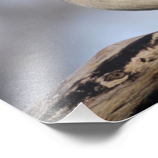 Impression Photo Touffé (Coin)