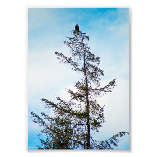 Impression Photo Tour de surveillance (Devant)