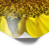 Impression Photo tournesol avec bourdon (Coin)