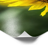 Impression photo - Tournesol ensoleillé (Coin)