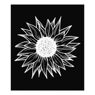Impression Photo Tournesol Jolie fleur fleur sauvage multicolore