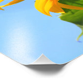 Impression Photo Tournesol Kansas avec closeuse papillon monarque (Coin)