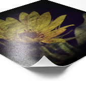 Impression Photo Tournesol sauvage (Coin)