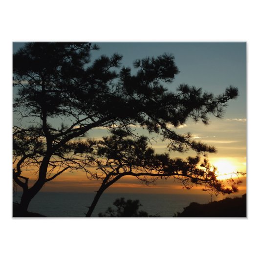 Impression Photo Tourrey Pine Sunset I California Paysage (Devant)