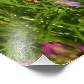 Impression Photo toutes sortes de belles fleurs (Coin)