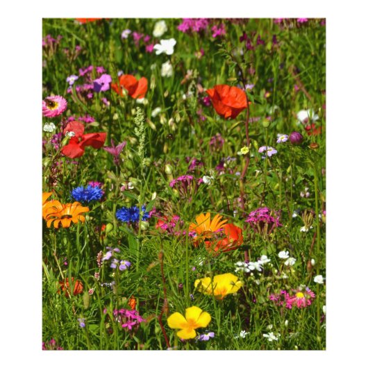 Impression Photo toutes sortes de belles fleurs (Devant)