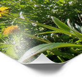 Impression Photo Trail forestier avec Fleurs sauvages jaunes (Coin)