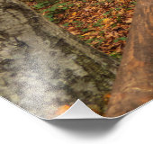 Impression Photo Traverser la forêt d'automne. (Coin)