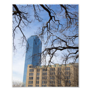 Impression Photo Tree and Tall Building, Dallas, Texas