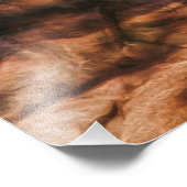 IMPRESSION PHOTO TREK MÉXICAIN DE LOUP ROUGE DÉSERT (Coin)