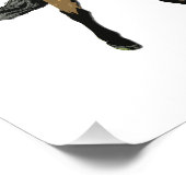 Impression Photo Trio dans Tolt (Coin)