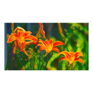 Impression Photo Trio diurne