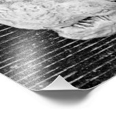 Impression Photo Trio d'oiseaux (Coin)