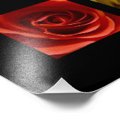 Impression Photo Triptyque Rose orange rose jaune rose Panoramique (Coin)