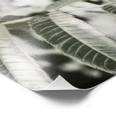 Impression Photo Trois 16" (Coin)
