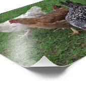 Impression Photo Trois Amigos (Coin)