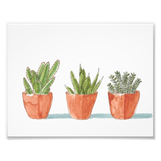 Impression Photo Trois cactus dans une rangée (Devant)