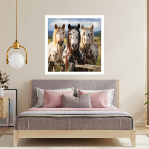 Impression Photo Trois chevaux Appaloosa
