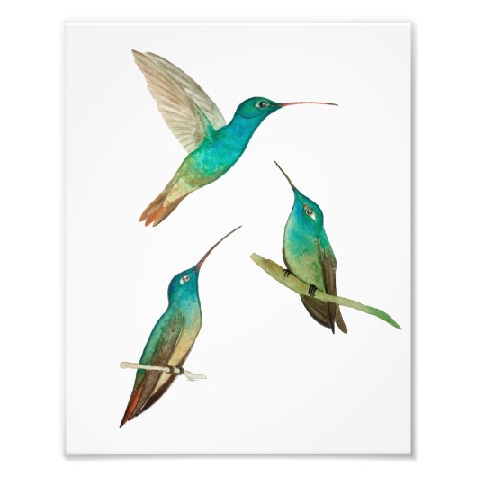 Impression Photo Trois colibris (Devant)
