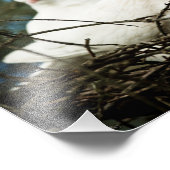 Impression Photo Trois dans un arbre (Coin)