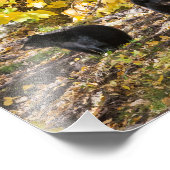 Impression Photo Trois ours (Coin)