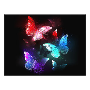 Impression Photo Trois papillons brillants sur l'arrière - plan de 