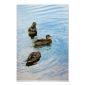 Impression Photo Trois photos (Devant)