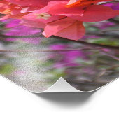 Impression Photo Tropical Pink Bougainvillea Island Floral (Coin)