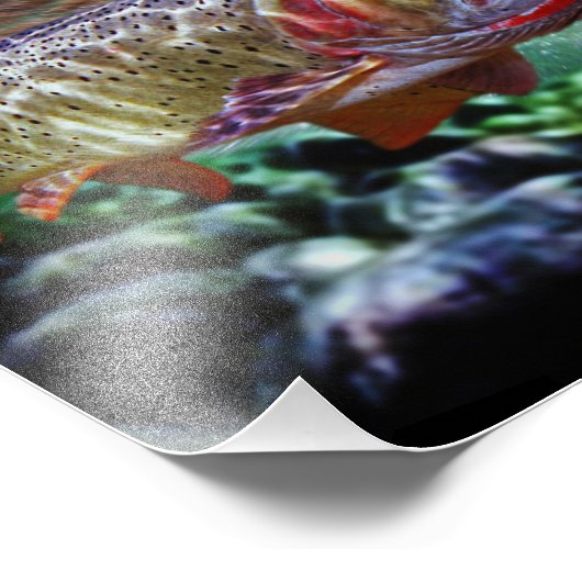 IMPRESSION PHOTO TROUBLES DE COUPE (Coin)