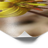 Impression Photo Truite Sauvage Fleur Lily Et Friend Firefly 8x10 (Coin)