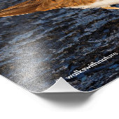 Impression Photo Tueur sur les boudflats d'Icy (Coin)